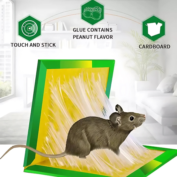 Mouse Glue Trap – Strong Adhesive Rat Glue Board & Rodent Catcher Mat (Pack of 5)