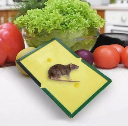 Mouse Glue Trap – Strong Adhesive Rat Glue Board & Rodent Catcher Mat (Pack of 5)